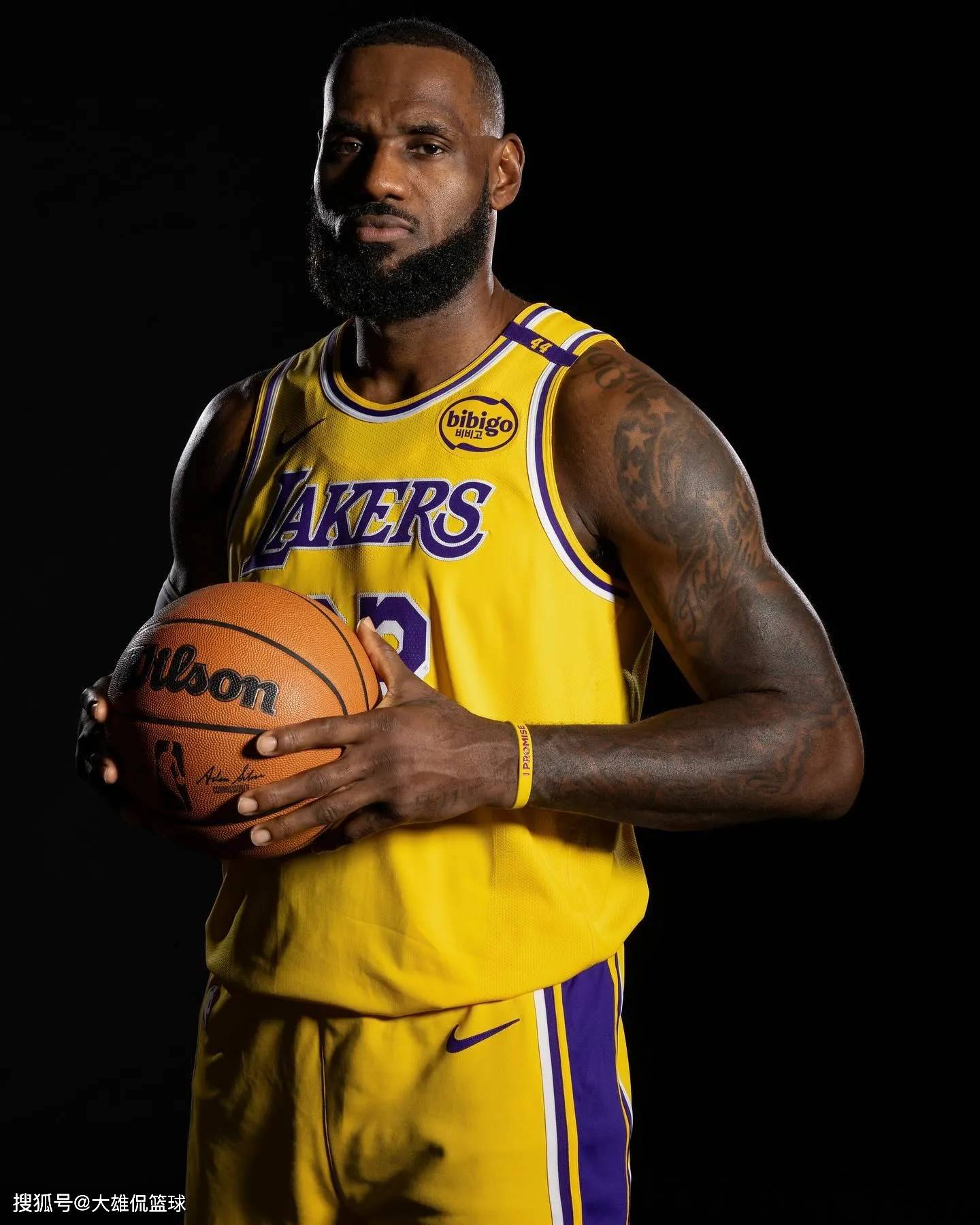 弗罗因德：奥地利重新打进世界杯意义重大；阿拉巴是个领导者（弗罗因德称奥地利重返世界杯意义非凡，阿拉巴是球队领袖）